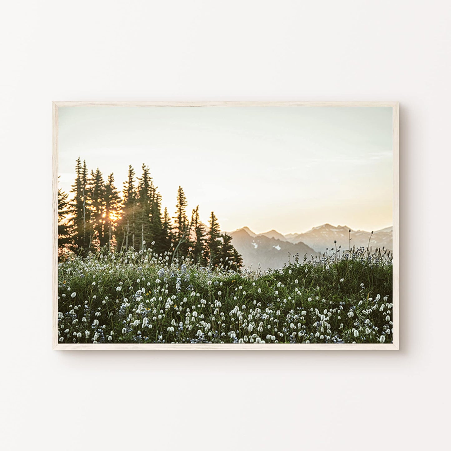 Wildflower Photography Print(Printable+Physical)